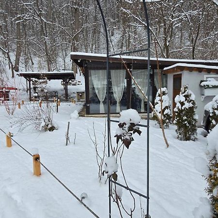 Pensiunea Lui Calin Ocnele Mari Kültér fotó