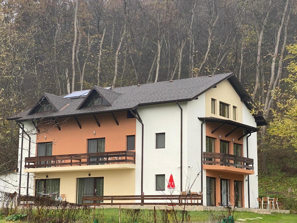 Pensiunea Lui Calin Ocnele Mari Kültér fotó